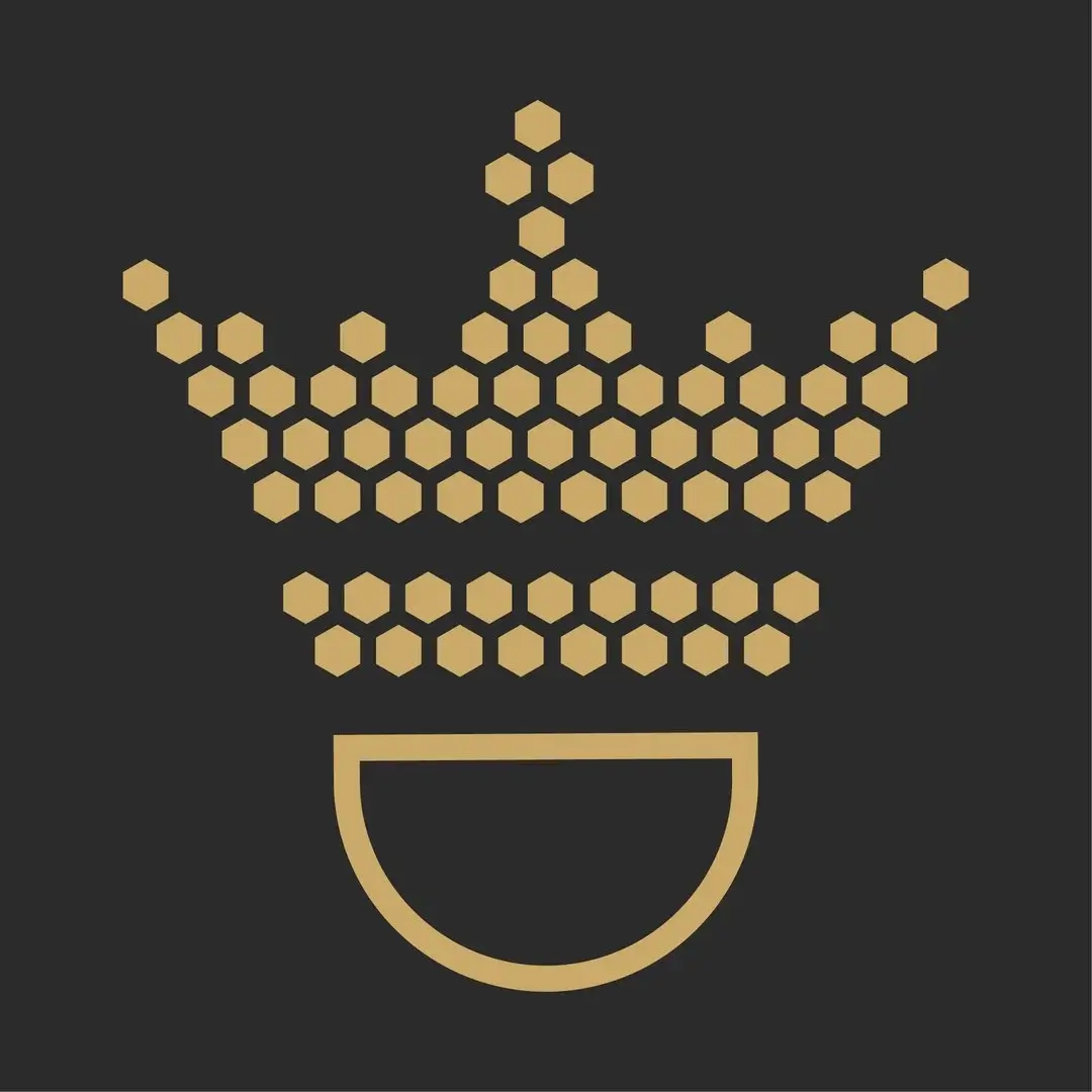 Shuttle Empire Badminton Academy